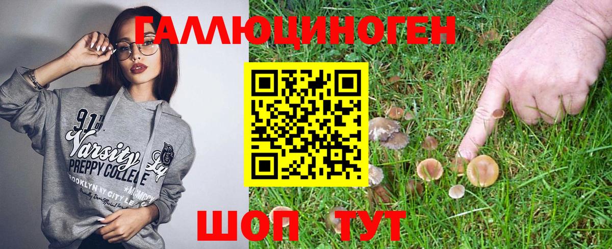 Галлюциногенные грибы мухоморы Лыткарино