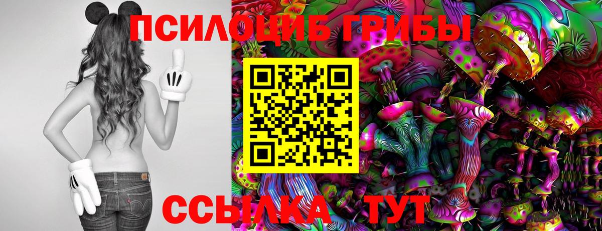 Лыткарино  Галлюциногенные грибы мицелий  Вход с VPN 